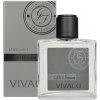 VIVACO Voda po holení GENTLEMAN SILVER EDITION 100 ml