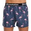 Horsefeathers Frazier Blue/ Flamingos Print