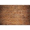 DIMEX fototapeta Staré tehly MS-5-0167 - 375 x 250 cm (150g VLIES - LEPIDLO ZADARMO)