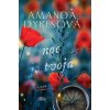 Noc je tvoja - Amanda Dykes