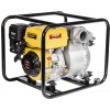 Hahn & Sohn Cedrus 80NB20-6.1Q