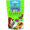 Vitakraft Crossys Guinea Pig Wildberr 50 g