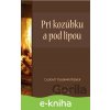 Pri kozúbku a pod lipou - Ľudovít V. Rizner