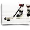 Sablio Obraz Ľadový hokej - 60x40 cm