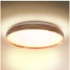 Brilagi Brilagi - LED Stropné svietidlo ALSON LED/24W/230V dub BG1622 + záruka 3 roky zadarmo