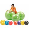 Gymnic plus 55cm