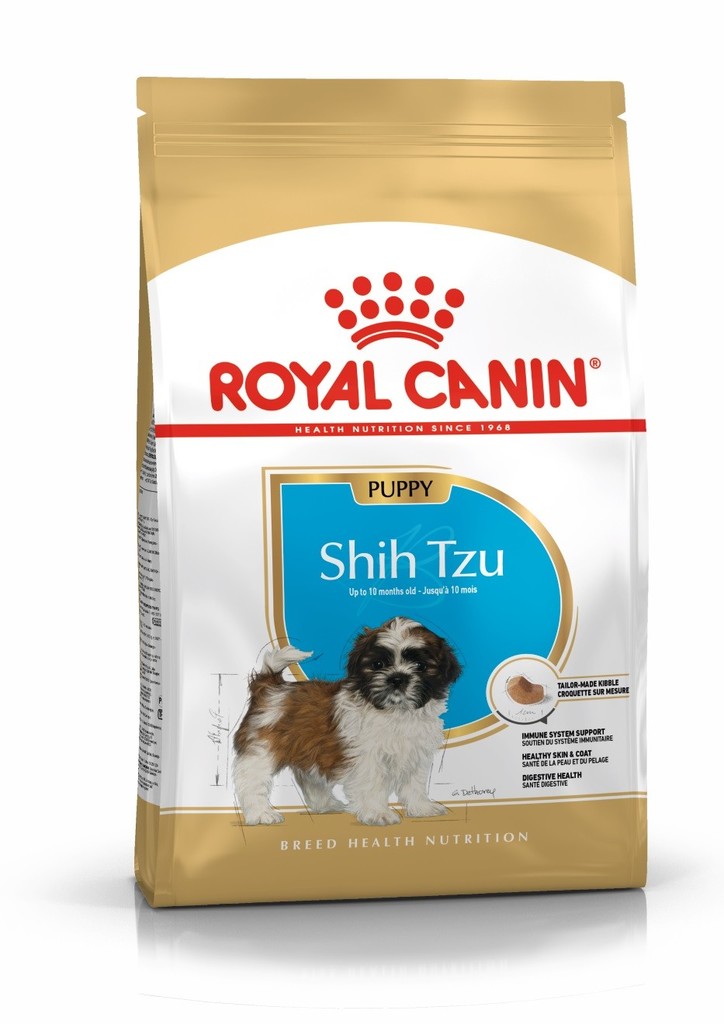 Royal Shih Tzu Puppy 1,5 kg