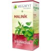 MEGAFYT Bylinková lekáreň OSTRUŽINA MALINOVÁ bylinný čaj 20 x 1,5 g 20x1,5 g nálevových vrecúšok