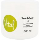 Stapiz Vital Repair Dual Hairtip Mask 60s 500 ml