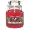 Yankee Candle Red Raspberry vonná sviečka 104 g