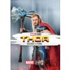 Thor kolekce DVD