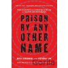 Prison by Any Other Name: The Harmful Consequences of Popular Reforms Schenwar Maya