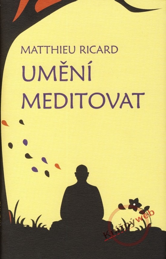 Umění meditovat - Matthieu Ricard