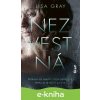 Nezvestná - Lisa Gray