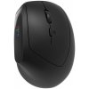 Canyon MW-25 Vertical Wireless Mouse CNS-CMSW25 - Vertikálna wireless myš