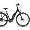 Kellys Estima 40 2022