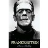 Frankenstein (Mary Shelley)(Brožovaná)
