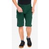 Cyklistické šortky 100% Ridecamp Short - forest green