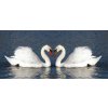 AG Design fototapeta FTN H 2708 Swans 202 x 90 cm (VLIESOVÁ FOTOTAPETA 1-DIELNA)