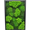 Machový obraz Trio Moss 50x35cm Na výšku
