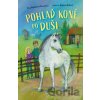 Pohlaď koně po duši - Věra Hudáčková Barochová, Barbora Kyšková (ilustrátor)
