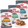 Royal Canin Hair & Skin Care 12 x 85 g
