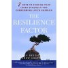 The Resilience Factor - Karen Reivich, Andrew Shatte