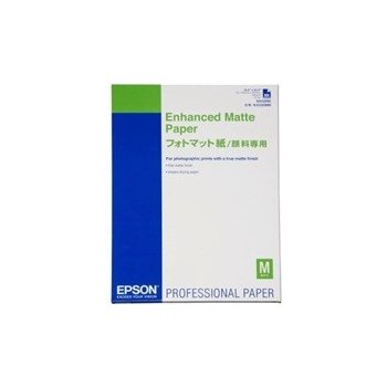 Epson C13S042095