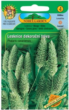 Nohel Garden Lesknica kanárska - dekoračná tráva