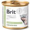 Brit VD Cat GF konz. Diabetes 200 g