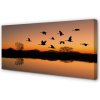 Obraz na plátne Lietajúce vtáky sunset 100x50 cm