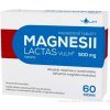 Magnesii Lactas Vulum 500 mg tbl. 60 x 500 mg