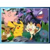 Svět Pokémonů 300 dílků