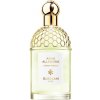 Guerlain Aqua Allegoria Herba Fresca Toaletná voda 75ml, unisex