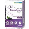 PLUS LEKÁREŇ Magnézium 400 mg+B komplex+vitamín C vrecúška s príchuťou čiernych ríbezlí 1x20 ks