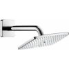 Hansgrohe Raindance E Hlavová sprcha 27370000