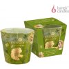 FLORAL GARDEN 115g sviečka v skle Bartek