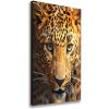 Vertikálny moderný obraz canvas na ráme Leopard 50x100 cm