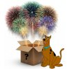 SCOOBYHO MYSTERY BOX