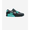 Nike Nízke tenisky Air Max 90 Cool Grey Dusty Cactus Black Wolf Grey Čierna