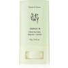 Beauty of Joseon Matte Sun Stick Mugwort&Camelia SPF50+ 18g