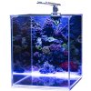 Diversa NEOlight 30l morské