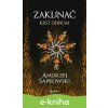 E-kniha Zaklínač V.: Krst ohňom - Andrzej Sapkowski, Brian Terrero (ilustrátor), Jakub Šimjak (ilustrátor)