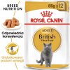Royal Canin Cat British Shorthair 12 x 85 g