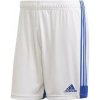 Pánske šortky Tastigo 19 M FI6355 Bielo-modrá - Adidas XL bílá/modrá