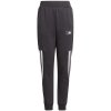 Pants adidas Future Icons Jr. GT9433 (117226) Black 140 CM