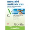 E-kniha Sebepoznání, sebeřízení a stres - Jiří Plamínek