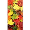 DIMEX | Samolepiaca fototapeta na podlahu FL-85-004 | 85 x 170 cm | Farebné listy + Hnedá, žltá, zelená, oranžová vinylová samolepiaca fototapeta na podlahu so zosilnenou lamináciou
