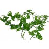 Lucky Reptile Jungle Vine Pothos Vine ca. 200 cm