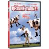Přísně tajné! - DVD